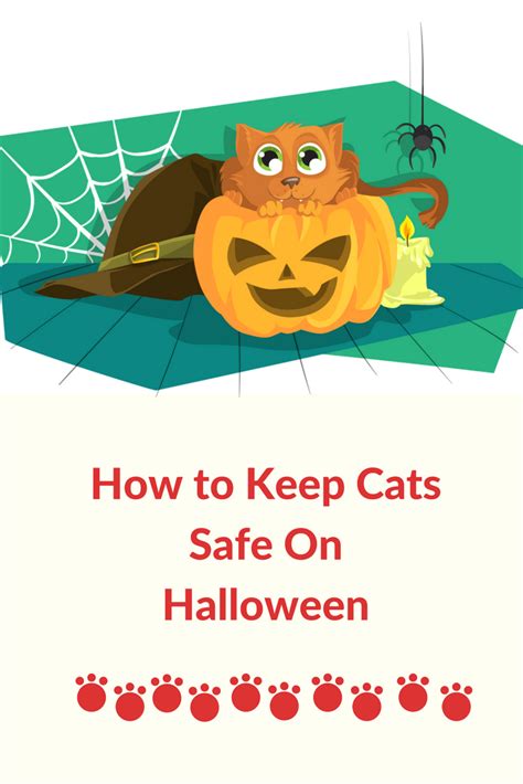 How To Keep Cats Safe On Halloween Cool Stuff For Cats