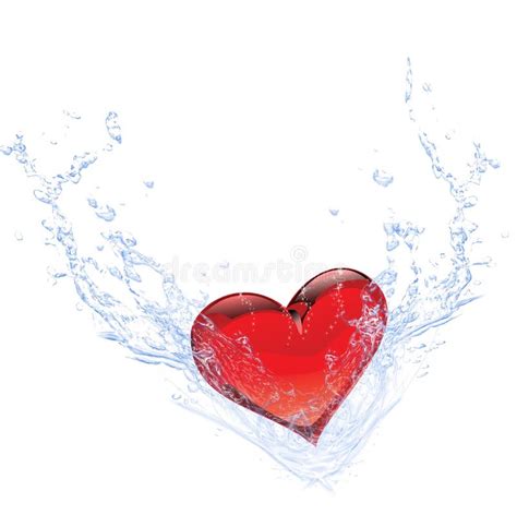 Heart On Water With Reflection Stock Illustration Illustration Of