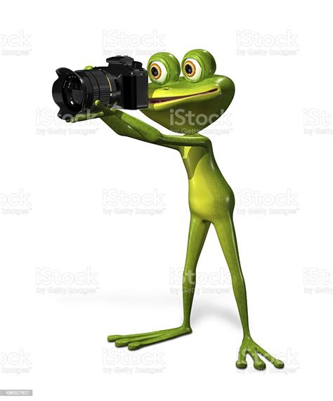 Frog With A Camera Stock Photo Download Image Now Camera