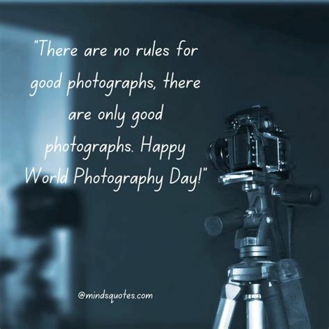 49 Happy World Photography Day Quotes Wishes And Messages