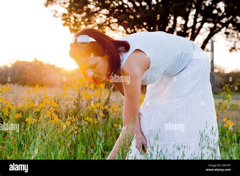 Woman Picking Flowers In Field In Sunlight Stock Photo Alamy
