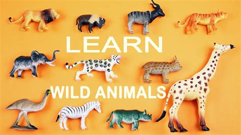 Learning Animals For Kids Teach Kids Wild Animals With