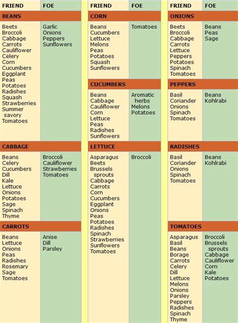 Companion Planting Chart For Vegetables Companion Planting Chart