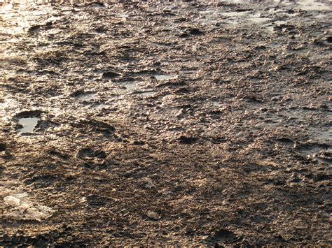 Free photo: Ground Dirt - Brown, Dirt, Dry - Free Download - Jooinn