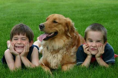 Beneficios De Criar A Un Niño Con Un Perro Familia Y Paternidad