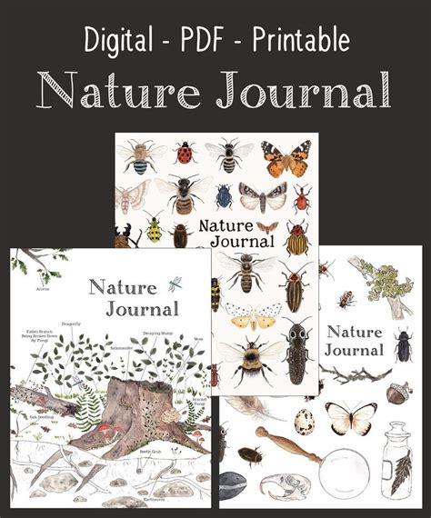 Digital Pdf Version Nature Journal For Kids 102 Pages Etsy In 2020