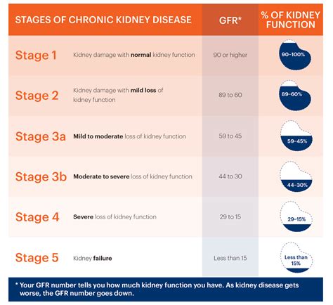 Stages Of Chronic Kidney Disease Purivo Dialysis Center