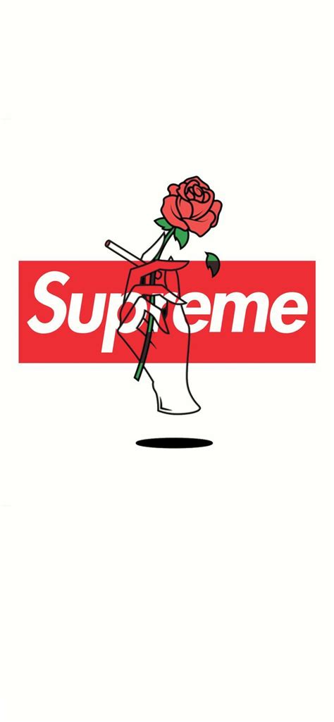Rose Supreme Wallpapers Top Free Rose Supreme