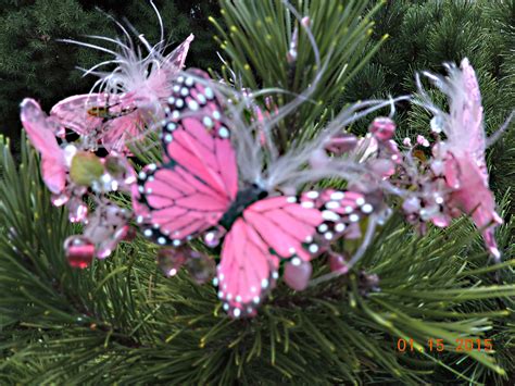 Pink Butterfly Crown