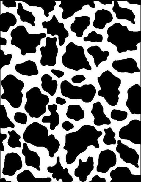 38 best images about Cow wallpapers on Pinterest | Cow print, Robert