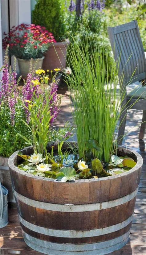Kostenlose lieferung für viele artikel! Teich mit Schilfgräsern in einem Fass | Garten ...