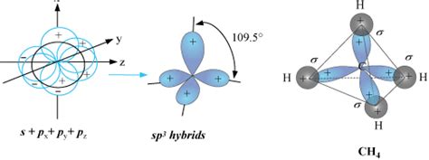 Bcl3 Hybridization : Explain The Structure Of Hybridisation Chemistry ...