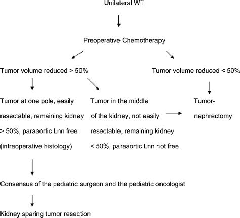 Algorithm In Unilateral Wilms Tumors With Preoperative Chemotherapy