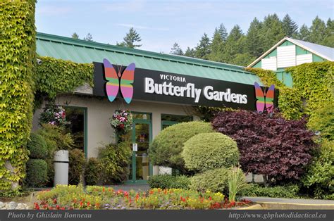 Butterfly Gardens Victoria Bc Hmmm Maybe Ill Do This With Emmailne