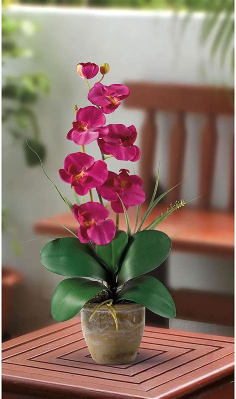 Nearly Natural 1016 Bu Phalaenopsis Silk Orchid Flower Arrangement Beauty 9x6x21 Silk Orchids