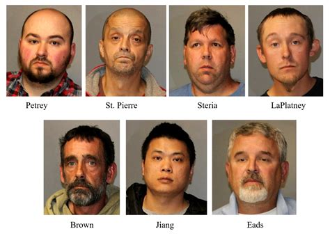 New York Mugshots 2024 - Devi Mureil