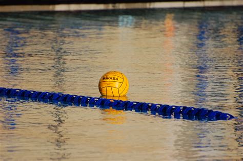 Filewater Polo Ball On Water Wikimedia Commons
