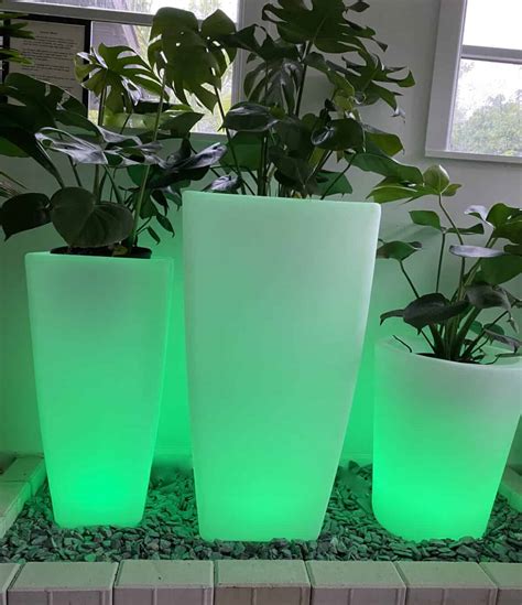 Illuminated Portable LED Square Planter - The Plant and Pot