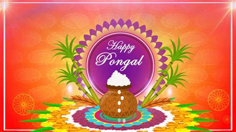 May this pongal give you a lot of happiness & joy. Happy Pongal & Sankranti 2019 Wishes GreetingsWhatsapp ...