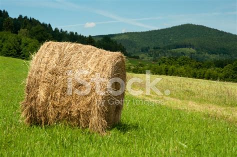 Hay Bale On A Field Stock Photo Royalty Free Freeimages