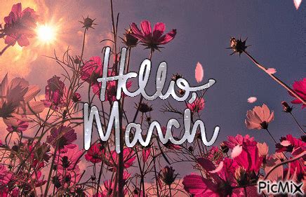 Hello March - PicMix