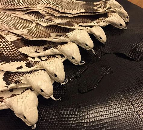 Natural Color Grain Genuine Snake Leather For Diy Handmade Belt Shoe