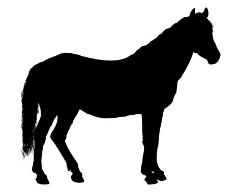 Silhouet Van Het Paard Gratis Stock Foto Public Domain Pictures