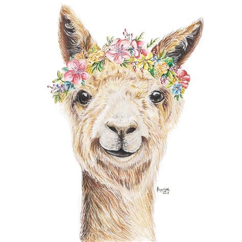 Alpaca Love Adorable Drawing Of Alpaca With Flower Crown Named Her
