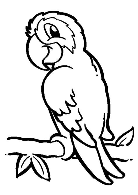 All clip art archives page of sweet. Parrot On Branch Coloring Page - Download & Print Online ...