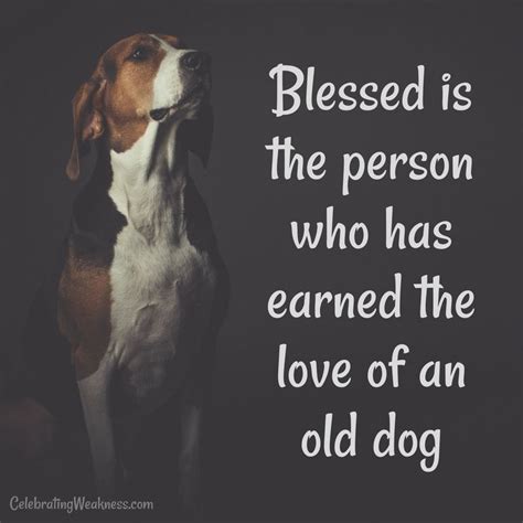 Blessed Is The Person Who Has Earned The Love Of An Old Dog