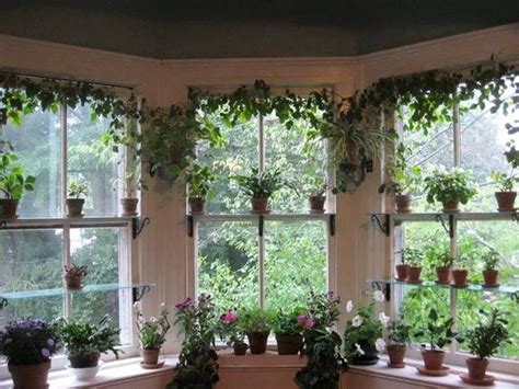 Bringing Houseplants Indoors Kevin Lee Jacobs Window Garden Ideas