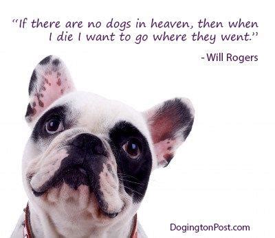 No man can be condemned for owning a dog. Dog By Will Rogers Quotes. QuotesGram