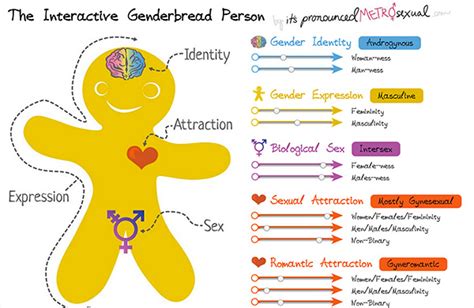 The Genderbread Person Its Pronounced Metrosexual