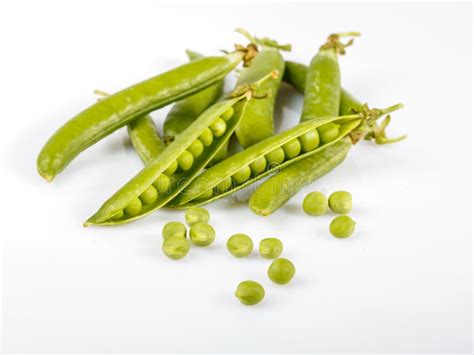 Flat Pea Pods Stock Photo Image Of Pulses Green Legumes 8364324