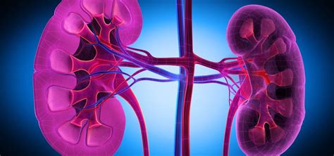 Insight Into Health Systems A Cross National Study Of Kidney Disease