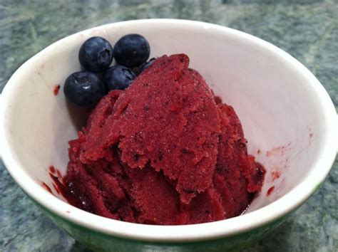 Blueberry Sorbet Rcooking