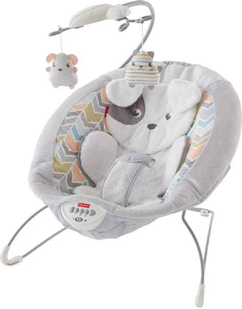 Fisher Price Deluxe Bouncer How Do You Price A Switches