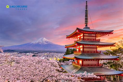 Saigontourist Du Lịch Nhật Bản Lễ Hội Hoa Anh đào Tokyo Núi Phú Sỹ