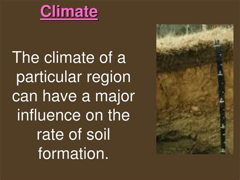 Ppt Soils Powerpoint Presentation Free Download Id2063436