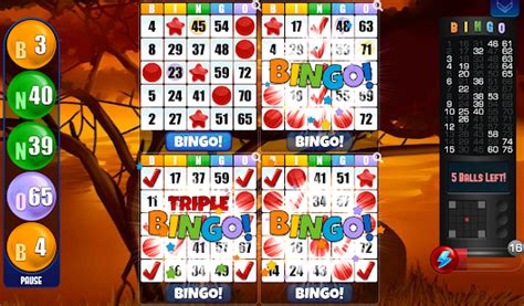 A free pc game for windows. Bingo - Play Free Bingo Games Offline or Online - Apps on ...