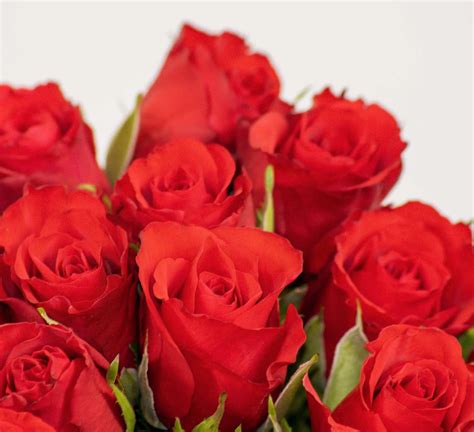 Bouquet De Roses Rouge Livraison De Fleur à Domicile