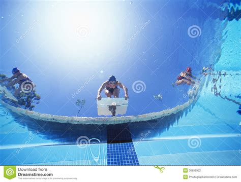 The following names are associated with aries rashi and bharani nakshatra; Low Angle View Of Female Swimmers Ready To Dive In Pool ...