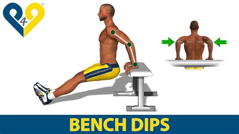 How To Do Triceps Dips On Bench Youtube
