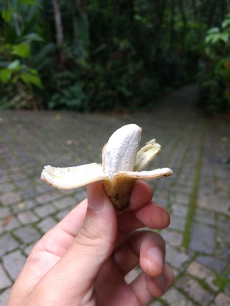 I Found A Really Tiny Banana Mildlyinteresting