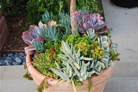 15 modern indoor planters that will make your houseplants smile and your home come alive. Succulents & Herbs | Welcome to Green Life!