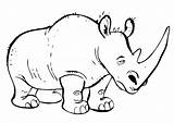 Rhino Coloring Rhinoceros Pages Outline Tattoo Baby Animated Printable Animals Color Preschool Tired Kids Getcolorings Animal sketch template