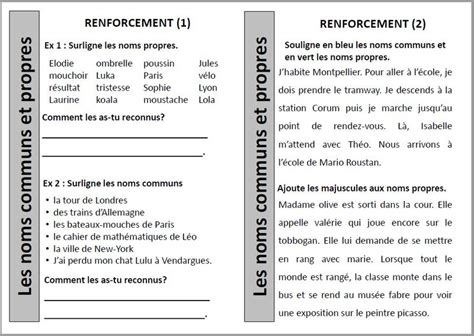 Grammaire Renforcement Noms Communs Noms Propres Ce Cm Journal D Une Pe Ordinaire