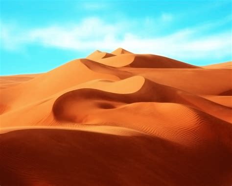 Free Download The Desert Wallpapers Hd Wallpapers 1920x1200 For Your