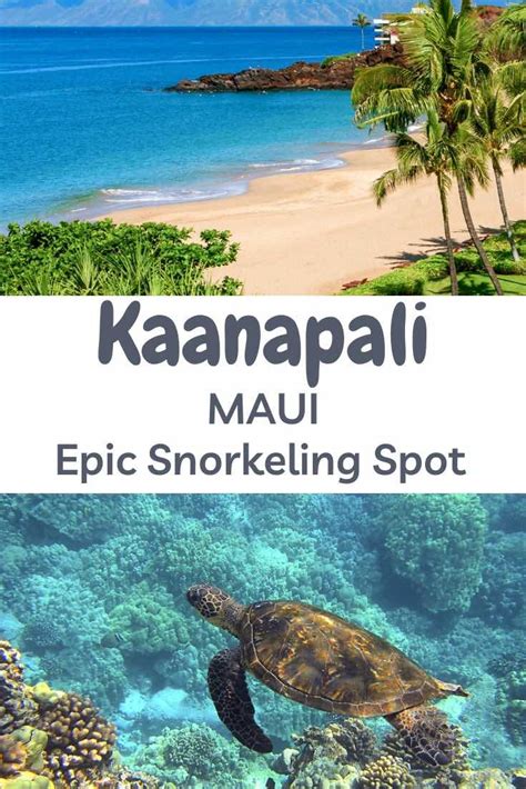 Kaanapali Beach Maui Black Rock Resort Guide In