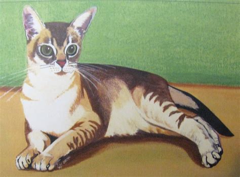 Pin by Art By Laura on ART, MY (LJH) "C"SERIES OVER 300 OF MY PAINTINGS